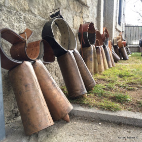 Cencerros en la Iglesia